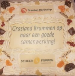 Grasland Brummen
