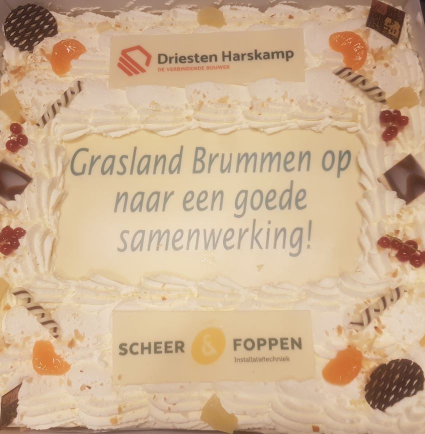 Grasland Brummen